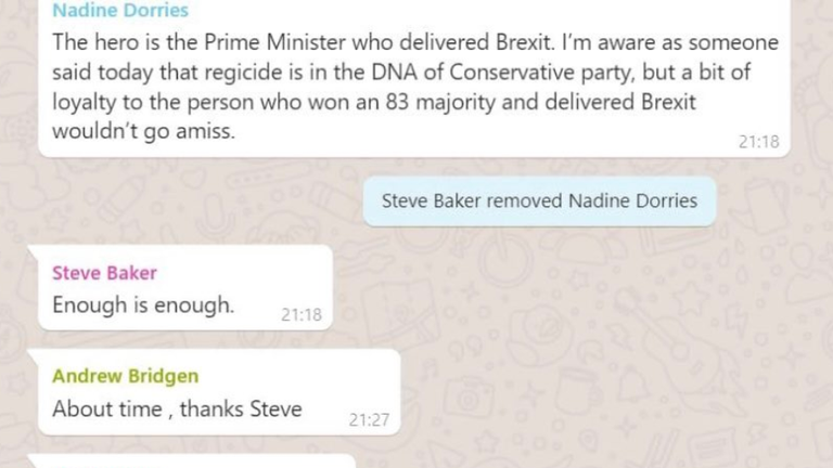 Culture Secretary Nadine Dorries was removed from a Tory WhatsApp group after defending Boris Johnson during an exchange about the Brexit minister&#39;s resignation