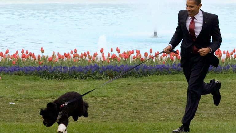 Barack Obama presents the first family&#39;s new Portuguese Water Dog puppy, Bo, on the South Lawn in 2009