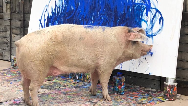 Pigcasso&#39;s latest art piece sold for £20,000