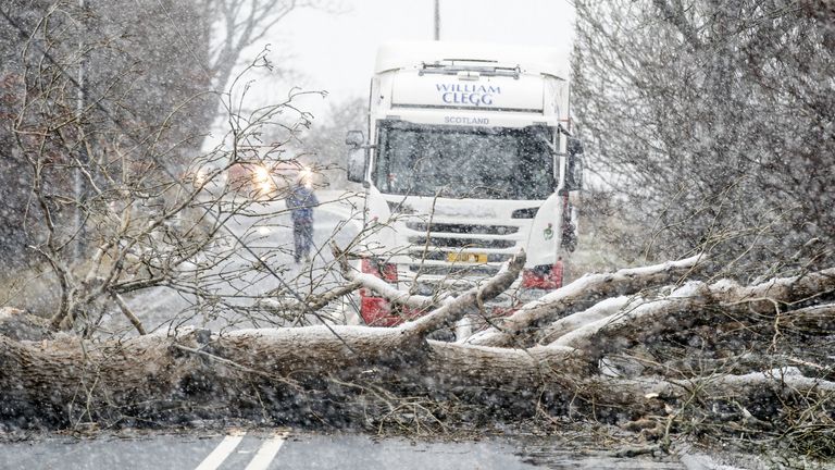 A fallen tree blocks the A702 near Coulter in South Lanarkshire as Storm Barra hits the UK and Ireland with disruptive winds, heavy rain and snow on Tuesday. Picture date: Tuesday December 7, 2021.
