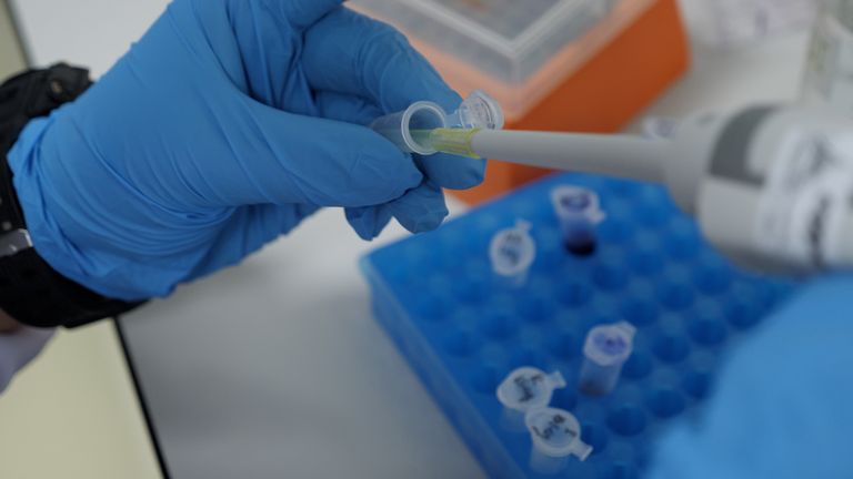دانشمندان تایلندی در حال ساخت نمونه اولیه واکسن گیاهی برای مبارزه با نوع Omicron هستند.
