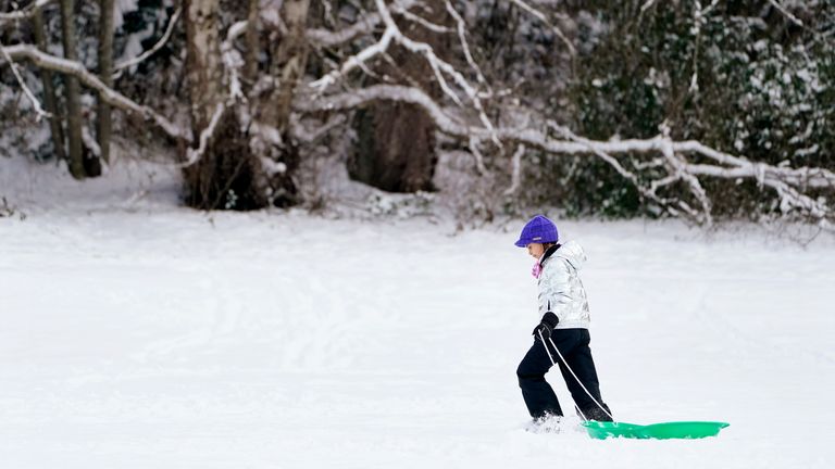 A girl pulls a sled past snow-covered trees in Bellingham, Washington on Monday. Pic: AP