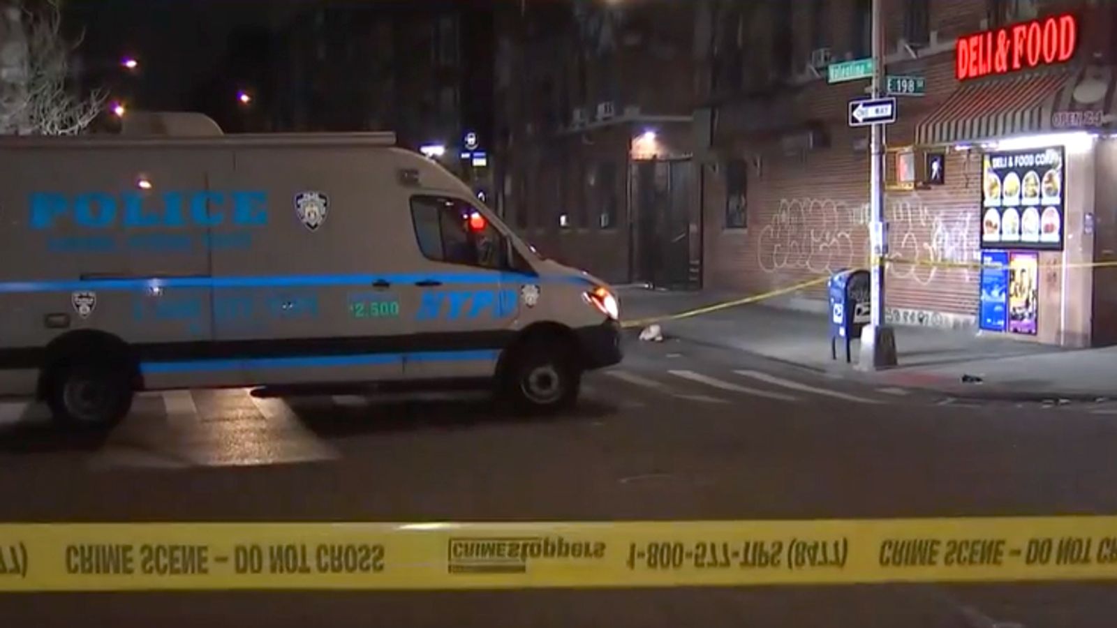 New York City: Baby girl critical after being hit in the face by stray ...