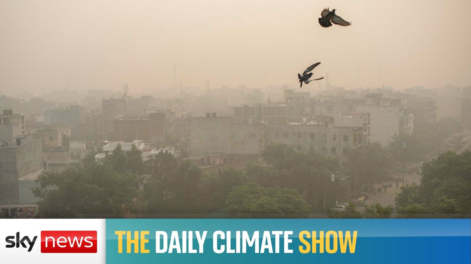 The Daily Climate Show debate: How should companies be going green ...