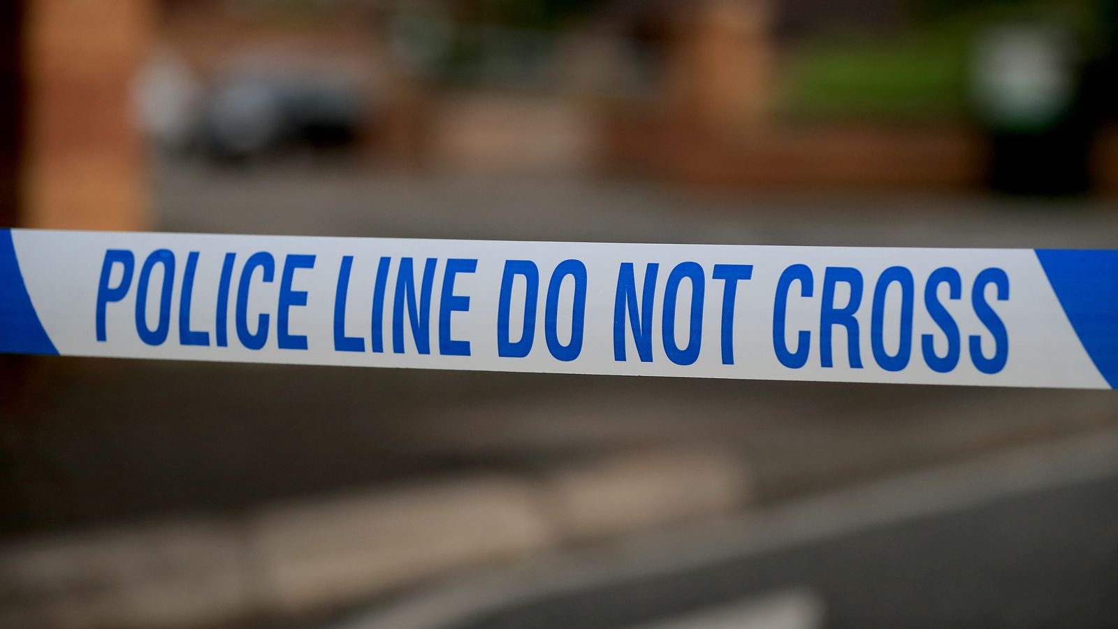 Woman dies after being attacked by dogs in home in Liverpool