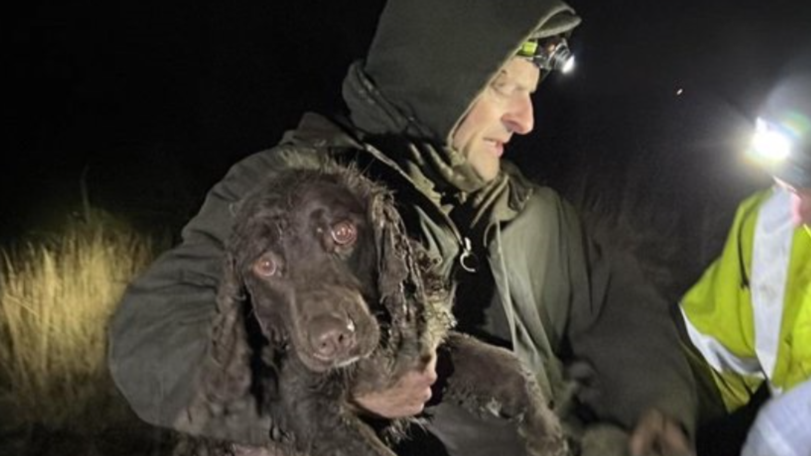 Dog rescued after getting stuck in 22ft mountain crevice for 34 hours ...