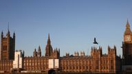 The Houses of Parliament can be seen as a person walks along the South Bank of the River Thames during sunrise, in London, Britain, January 12, 2022. REUTERS/Henry Nicholls
