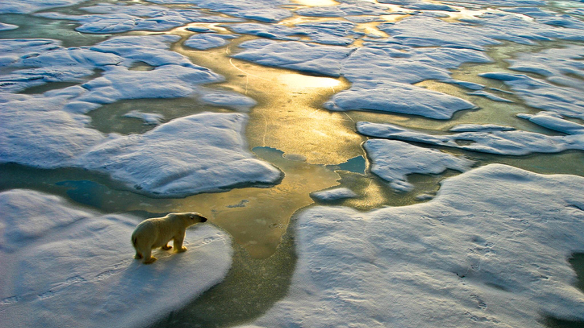 Climate Change - Copel ENG