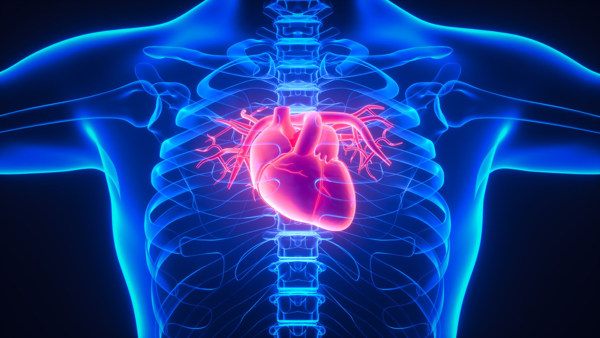 What Is A Structural Heart Program