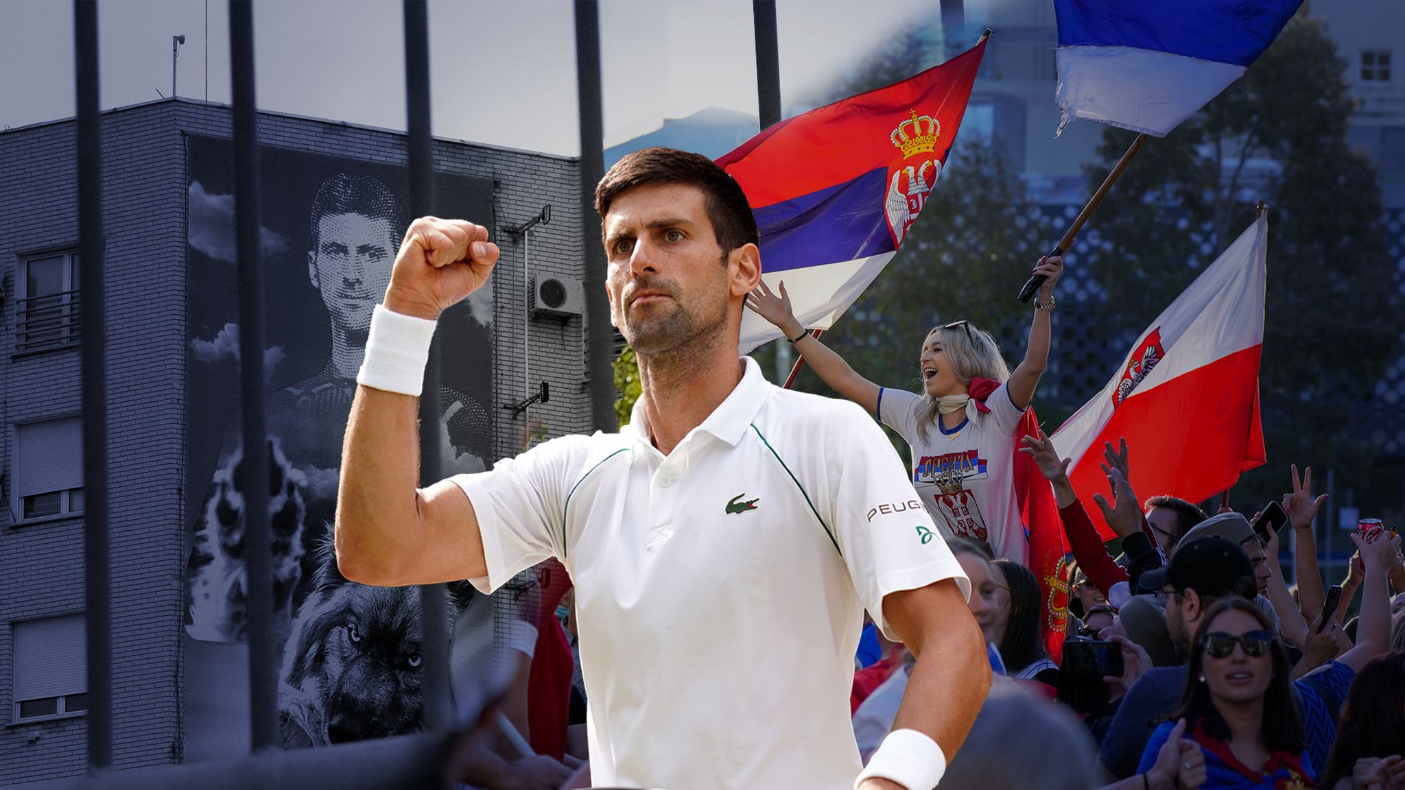 Novak Djokovic vs Australia: What both sides say in the tennis star&#39;s deportation legal battle | World News | Sky News