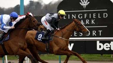 Lingfield rewarded with Winter Million success