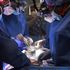 &#039;A watershed moment&#039;: Dying man saved by pig&#039;s heart transplant