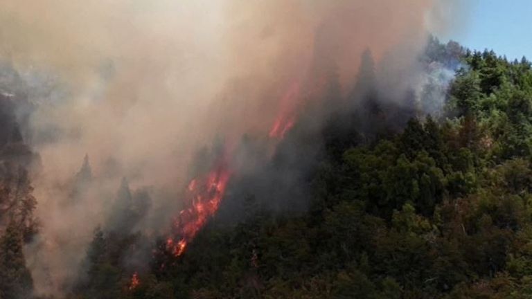 Wildfires reignite in Patagonia, Argentina, after unusually high ...