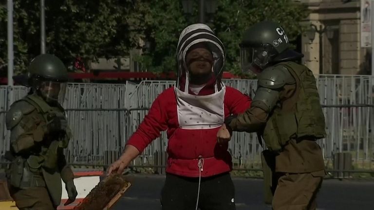 Chile: Beekeepers arrested after leaving bees outside presidential palace