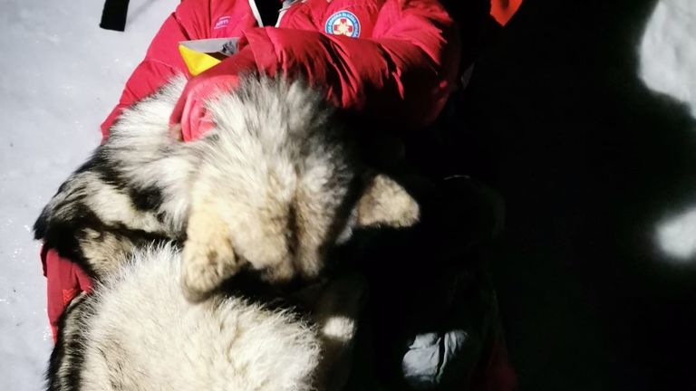 North, an eight-month-old Alaskan Malamute, curled up with Grga Brkic and kept him warm for 13 hours before they were rescued