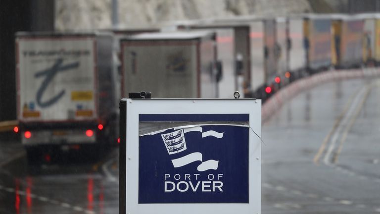 Freight lorries queueing at the check-in area for the Port of Dover in Kent. File pic