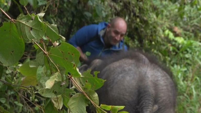 Sky’s Asia correspondent was ‘headbutted’ by an energetic elephant in Southwest China while filming a report. 