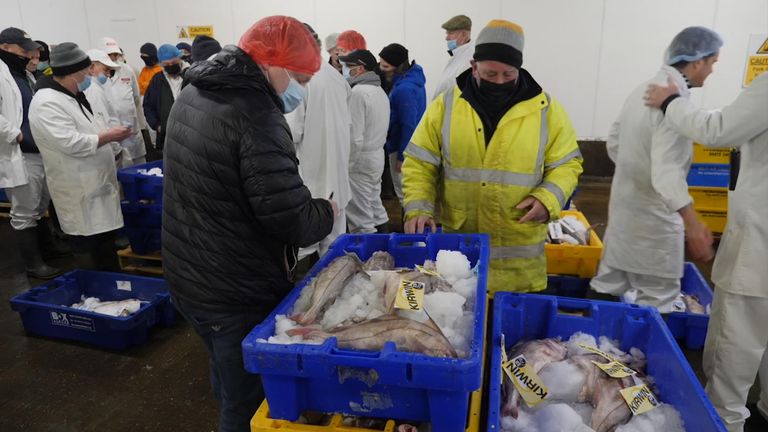 Traders at Grimsby Fish Market appear to be uninterested in the upcoming Sue Gray report KEEP