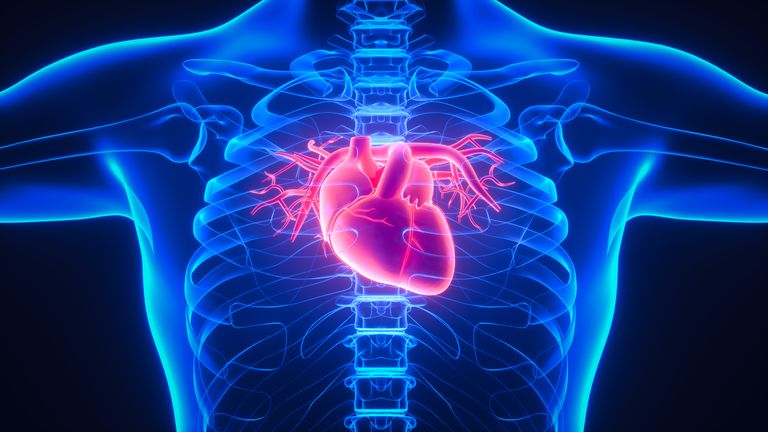 File illustration of a heart: iStock 