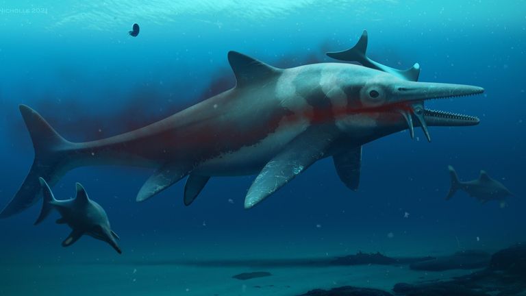 Undated handout artist impression issued by Anglian Water of an ichthyosaur. Scientists have hailed one of the "greatest finds" in British palaeontological history after the largest fossilised remains of a prehistoric "sea dragon" were discovered in the Midlands. The ichthyosaur, approximately 180 million years old with a skeleton measuring around 10 metres in length and a skull weighing approximately one tonne, is the largest and most complete fossil of its kind ever found in the UK. Issue date: Monday January 10, 2022.