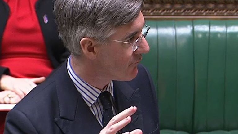 Jacob Rees-Mogg says Labour are only interested in cake and animals