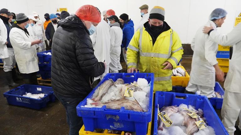 Traders at Grimsby Fish Market appear to be uninterested in the upcoming Sue Gray report