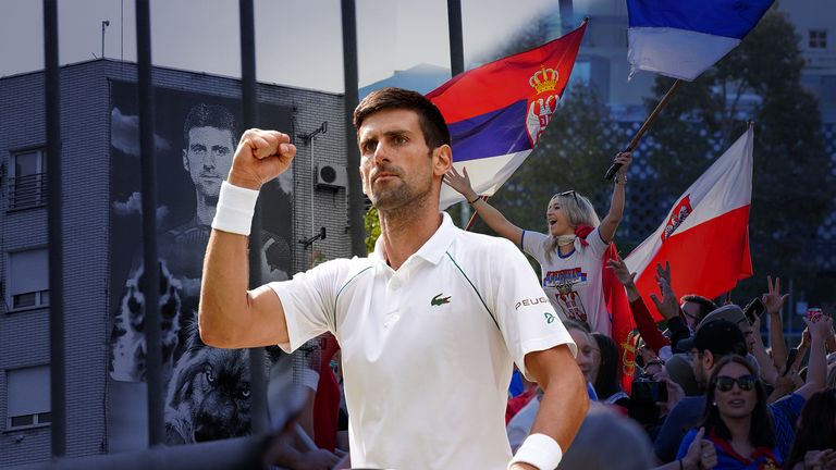 Novak Djokovic vs Australia: What both sides say in the tennis star's deportation legal battle | News | Sky News
