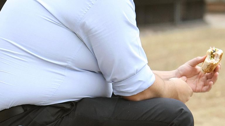 Obese people are being encouraged to ask their pharmacist about a free online NHS weight loss programme (file pic)