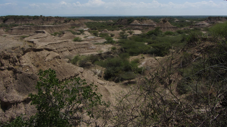 La formation Omo Kibish dans le sud-ouest de l'Éthiopie, dans la vallée du Rift est-africain.  La région est une zone de forte activité volcanique et une riche source de restes humains anciens et d'artefacts tels que des outils en pierre.