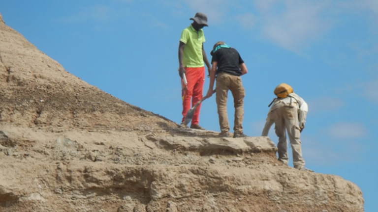 Researchers dated the fossils from Ethiopia. Pic: Céline Vidal