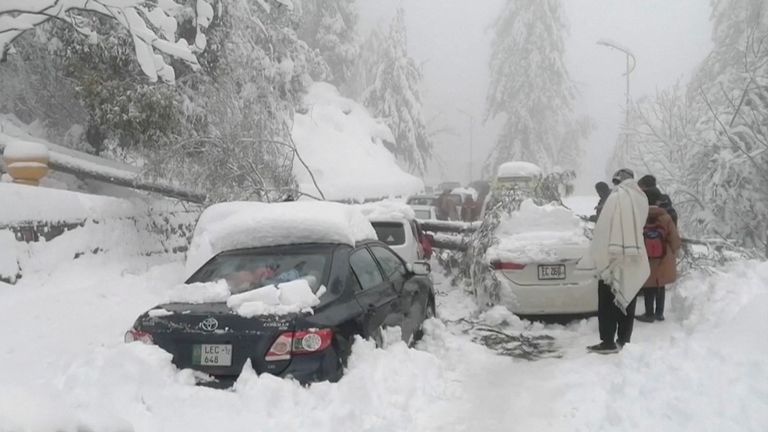 Cars stuck under fallen trees on snowy road in Murree