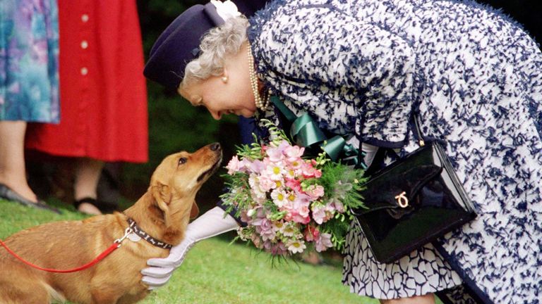 The Queen encountered an old acquaintance during a visit to the Roman site of Vindolanda near Hadrian&#39;s Wall in Northumberland, a corgi bred by the Queen and now owned by Lady Beaumont who lives in the area. 20/7/99: Matthew King lost his job as one of the Queen&#39;s two personal foootmen after getting some of the Queen&#39;s corgis drunk as a party trick. See PA Story ROYAL Queen. PA Photos (Pool Photo)