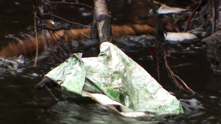 Plastic pollution on the banks of the River Tame