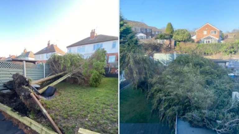 More damage caused by Storm Malik in England. Pic: Rosie Briggs/Twitter