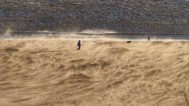 Dog walkers on a windy Tynemouth beach on the North East coast on Saturday