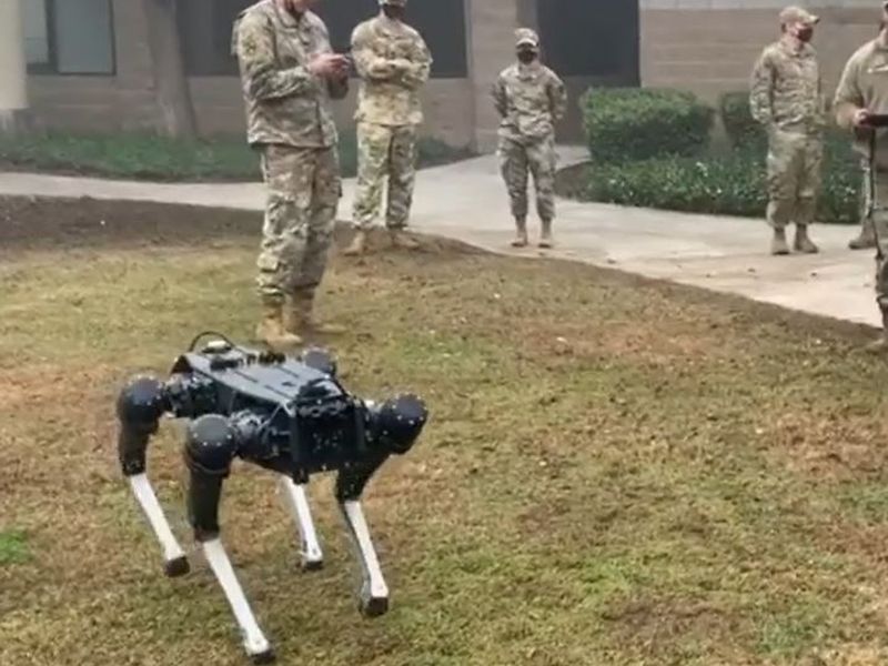 Aftensmad sandaler monarki US military tests robot security dog on a base in California | Science &  Tech News | Sky News