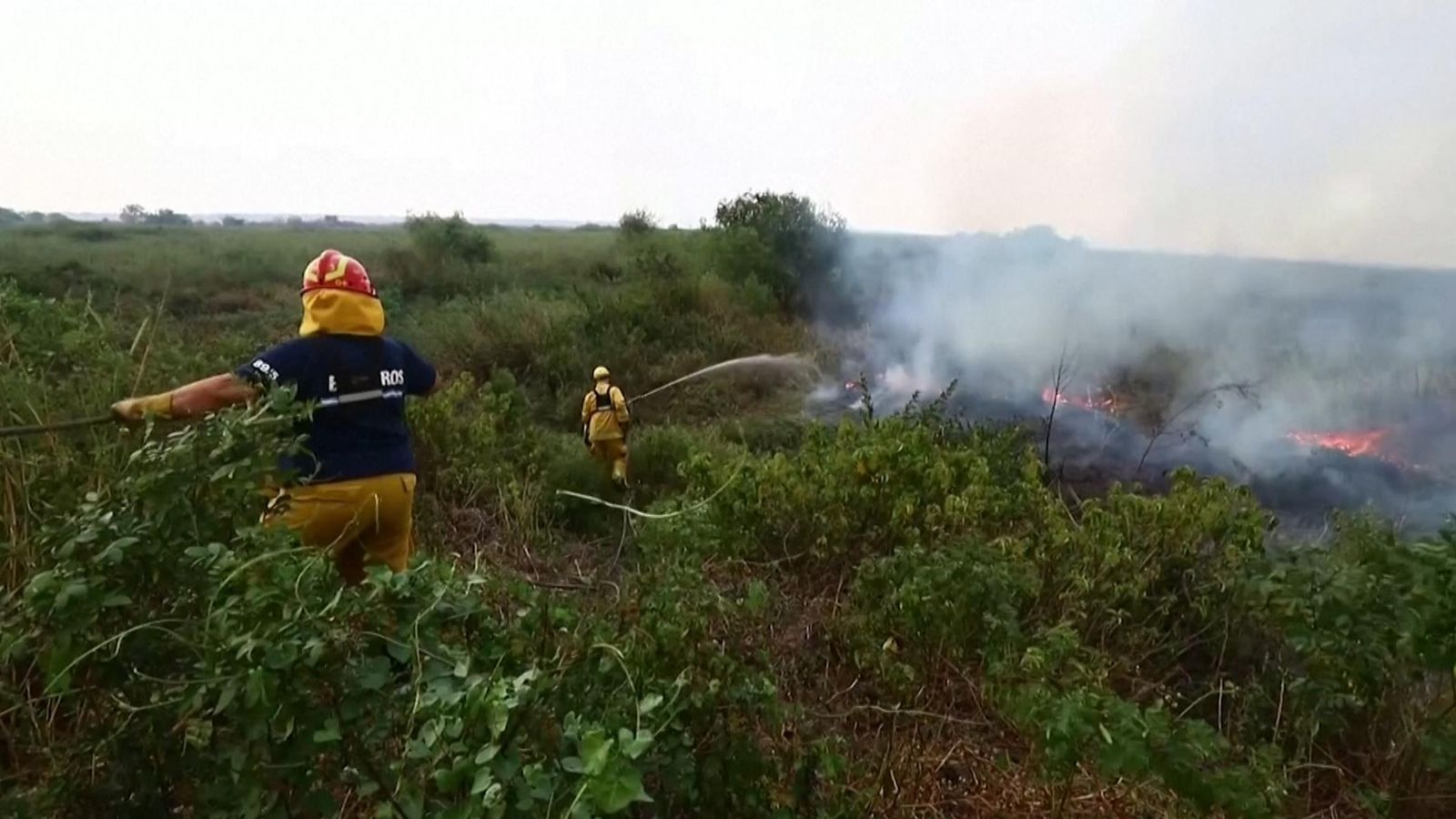 Argentina wildfire: Firefighters battle huge blaze | World News | Sky News