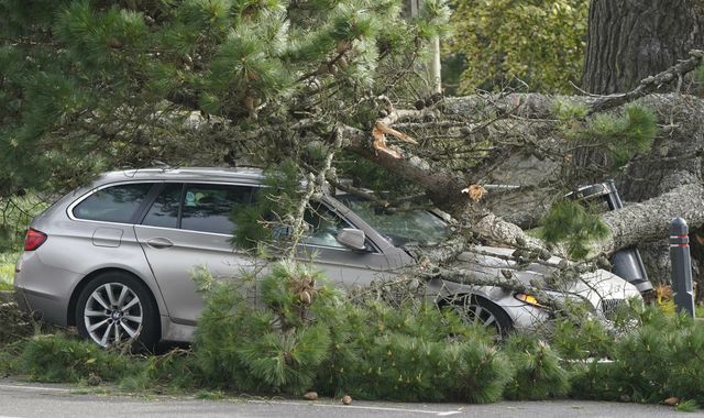 Storm Eunice: Flights grounded, trains cancelled and roads closed - disruption caused by storm - Vimarsana News
