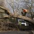 Storm Eunice clean-up may be disrupted by further strong winds in parts of UK, Met Office says