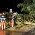 After leaving a path of destruction in the UK, Storm Eunice hits Europe