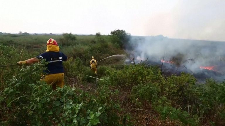 Argentina wildfire: Firefighters battle blaze