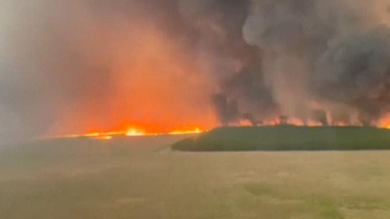 Ibera National Park is burning and many species of animals and plants are under threat