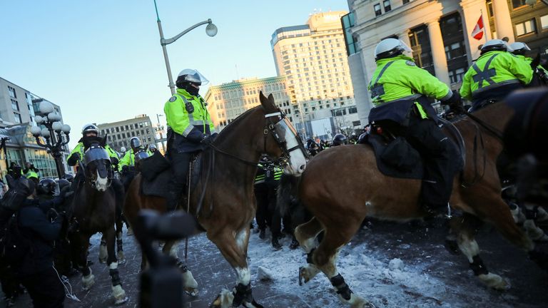 One person threw a bicycle at a police horse