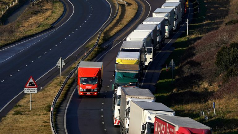 Lorries queue for the Port of Dover in Kent, as the Dover TAP is enforced due to the high volume of lorries waiting to cross the Channel. Dover TAP is a temporary traffic management system which queues port-bound lorries in the nearside (left) lane of the A20 to prevent Dover becoming congested with traffic and helping to improve its air quality. Picture date: Tuesday February 1, 2022.
