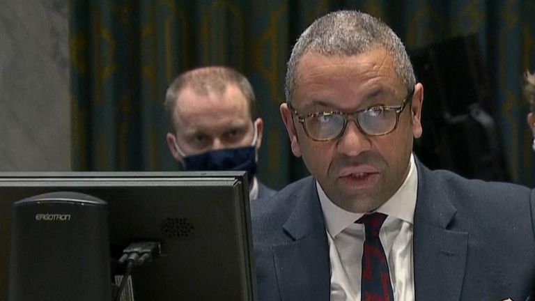 James Cleverly, Minister for Europe and North America