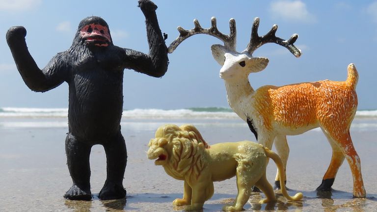 Toys found by Tracey Williams while cleaning beaches in Cornwall. Pic: Tracey Williams                               