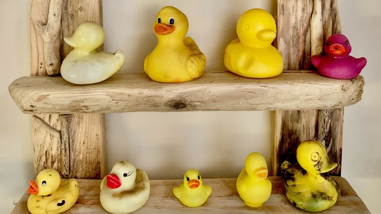 Rubber ducks found washed up from the sea are turned into a wall display. Pic: Tracey Williams