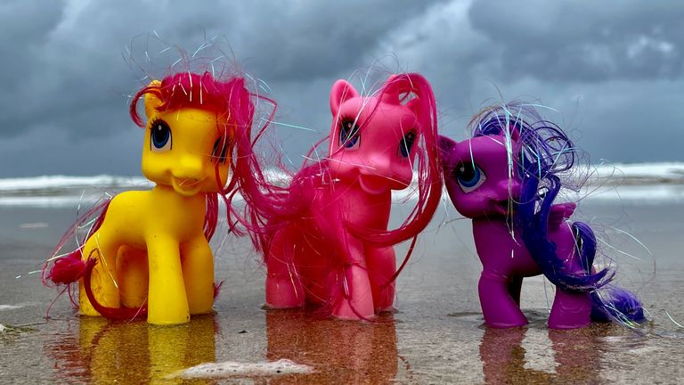 My Little Pony toys featured in Tracey Williams&#39; book, Adrift: The Curious Tale Of The Lego Lost At Sea. Pic: Tracey Williams