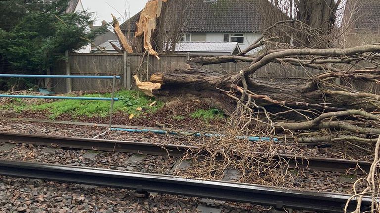Handout photo issued by Network Rail of fallen trees blocking lines in the Ewell West areas in Epsom. Picture date: Friday February 18, 2022.
