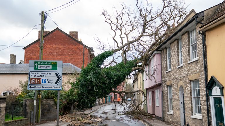 A fallen tree blocking a road in Sudbury, Suffolk, as Storm Eunice sweeps across the UK after hitting the south coast earlier on Friday. With attractions closing, travel disruption and a major incident declared in some areas, people have been urged to stay indoors. Picture date: Friday February 18, 2022.

